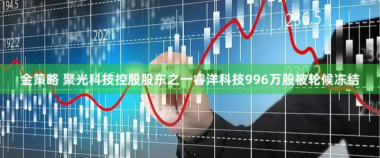 金策略 聚光科技控股股东之一睿洋科技996万股被轮候冻结