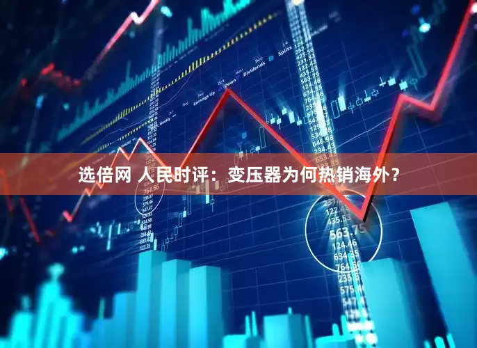 选倍网 人民时评：变压器为何热销海外？